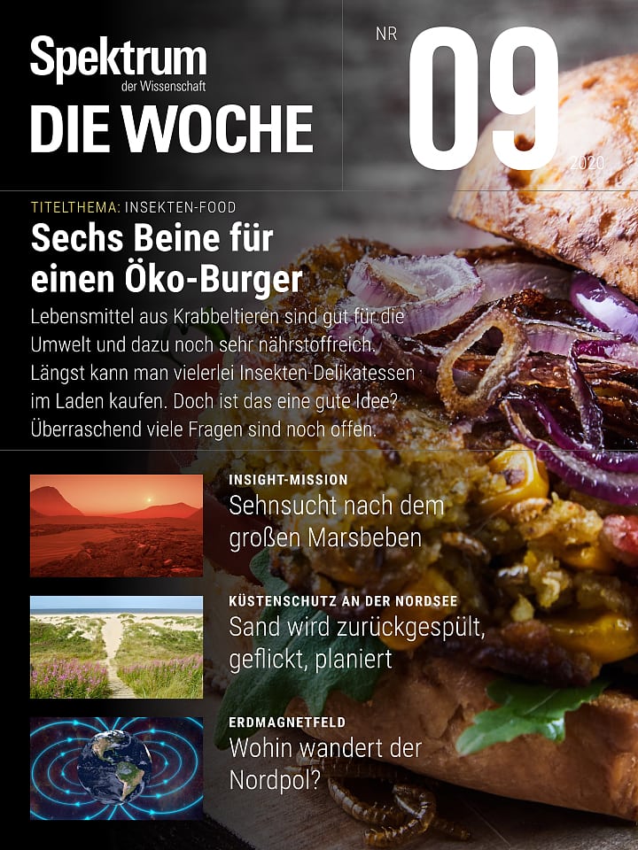 Spektrum - Die Woche – 09/2020 Cover