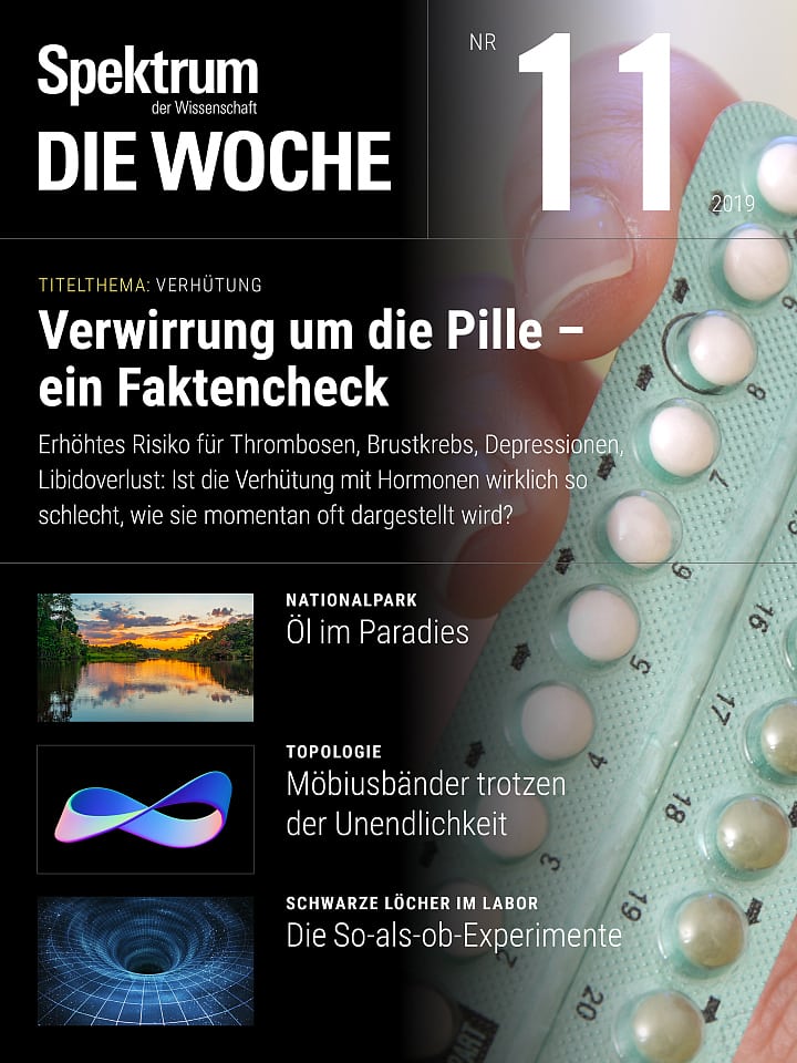Spektrum - Die Woche – 11/2019 Cover