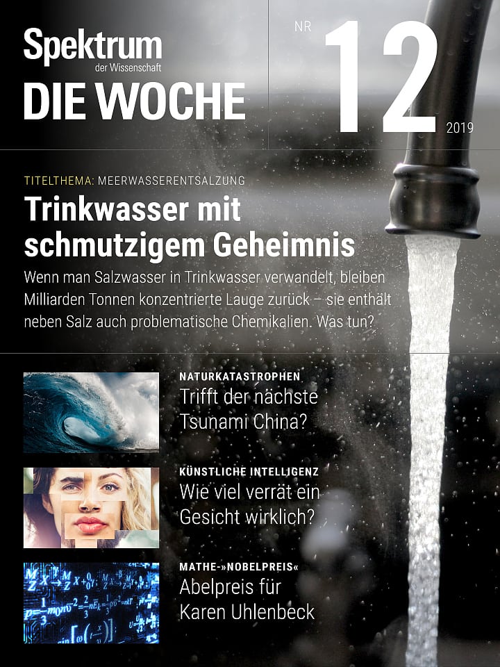 Spektrum - Die Woche – 12/2019 Cover