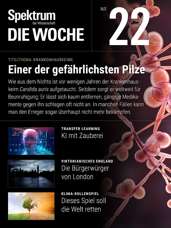 Spektrum - Die Woche – 22/2019 Cover
