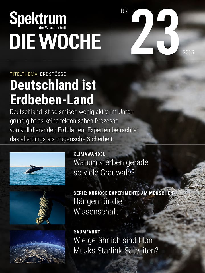 Spektrum - Die Woche – 23/2019 Cover