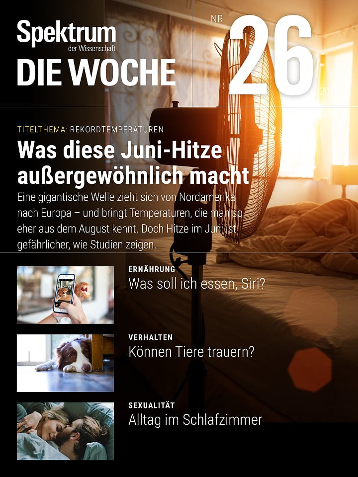 Spektrum - Die Woche – 26/2019 Cover