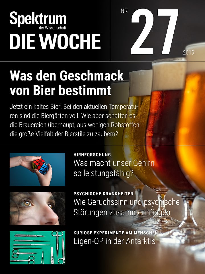 Spektrum - Die Woche – 27/2019 Cover