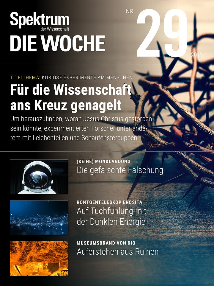 Spektrum - Die Woche – 29/2019 Cover