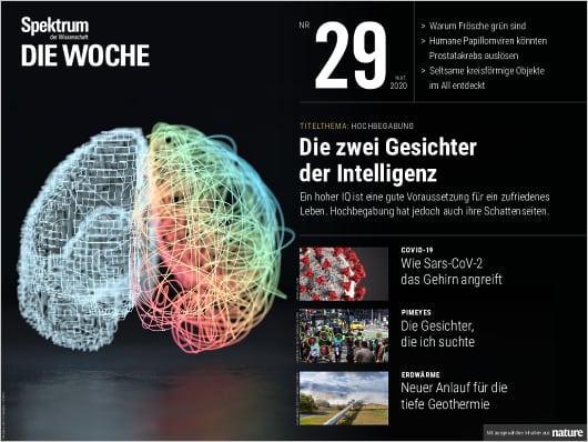 Spektrum Die Woche 29/2020 Cover