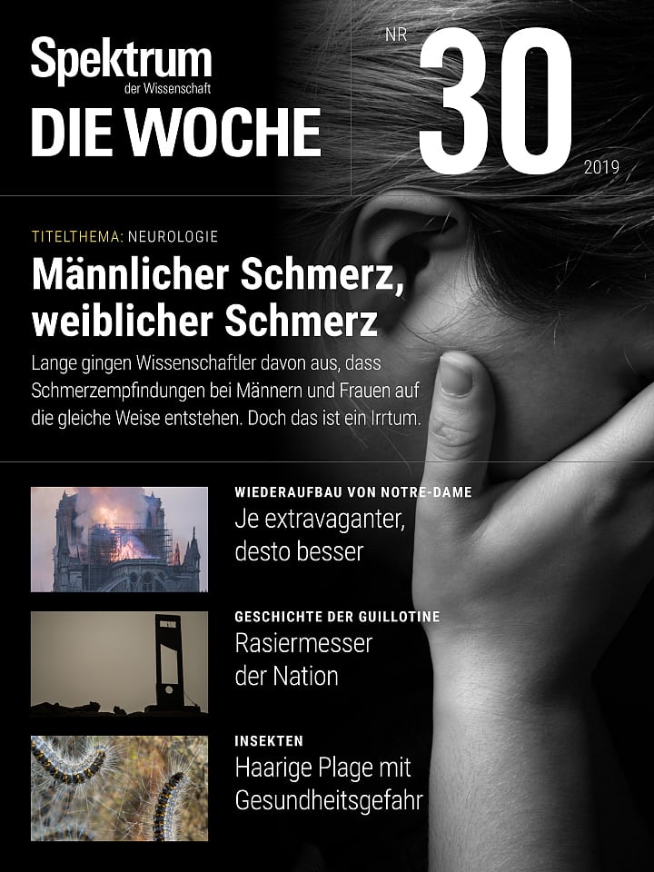 Spektrum - Die Woche – 30/2019 Cover
