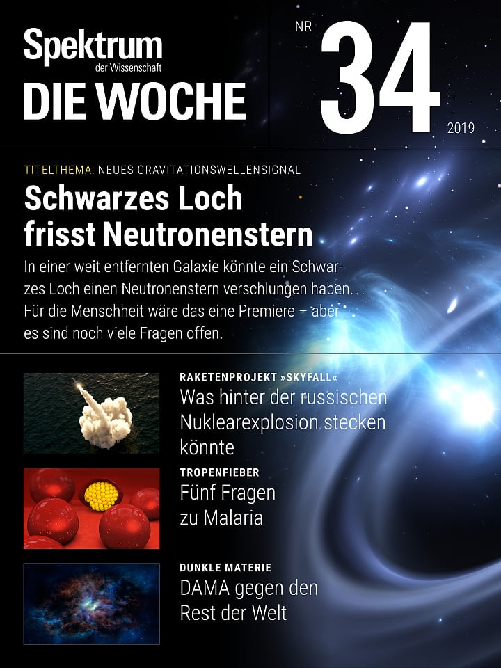 Spektrum - Die Woche – 34/2019 Cover