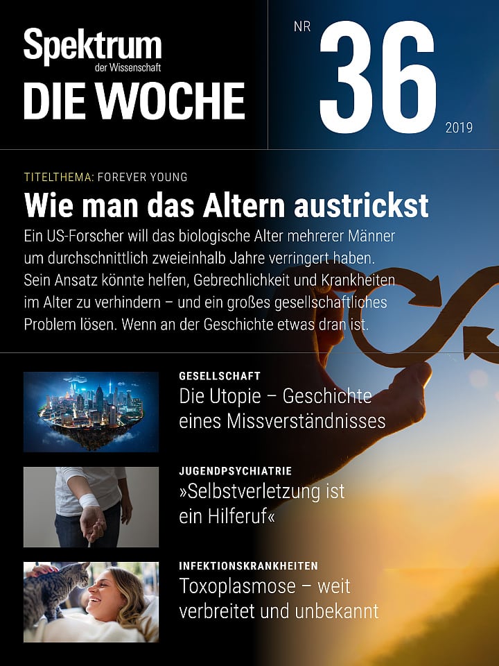 Spektrum - Die Woche – 36/2019 Cover