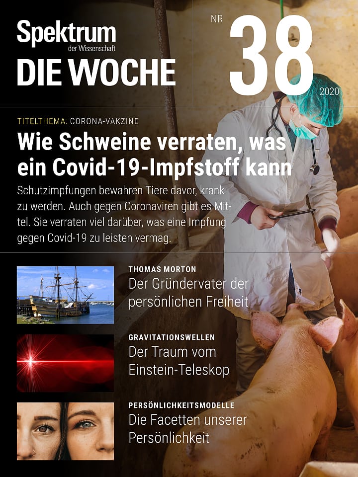 Spektrum - Die Woche – 38/2020 Cover