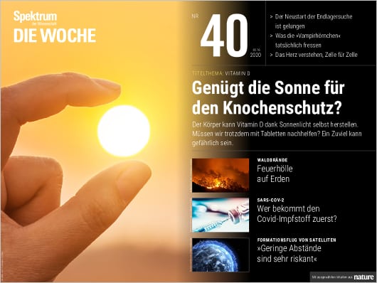Spektrum Die Woche 40/2020 Cover