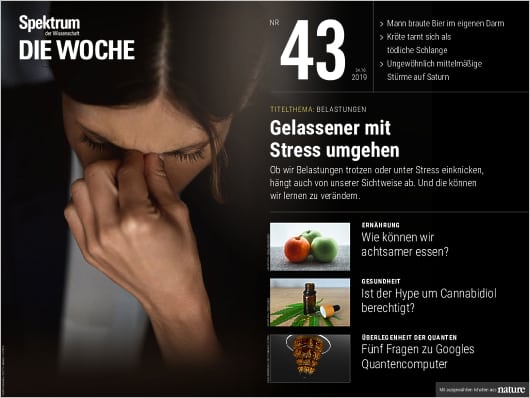 Spektrum Die Woche 43/2019 Cover