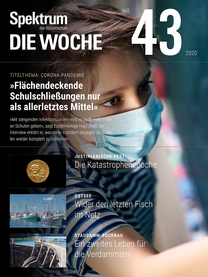 Spektrum - Die Woche – 43/2020 Cover