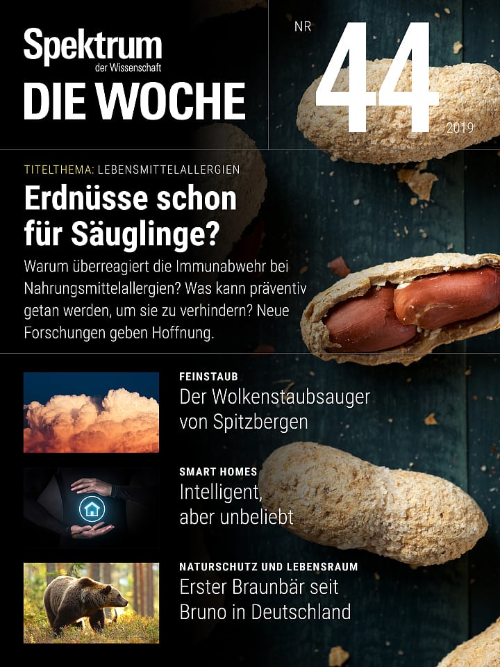 Spektrum - Die Woche – 44/2019 Cover