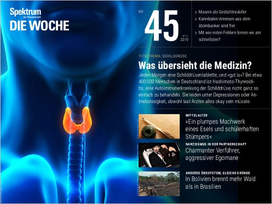 Spektrum Die Woche 45/2019 Cover