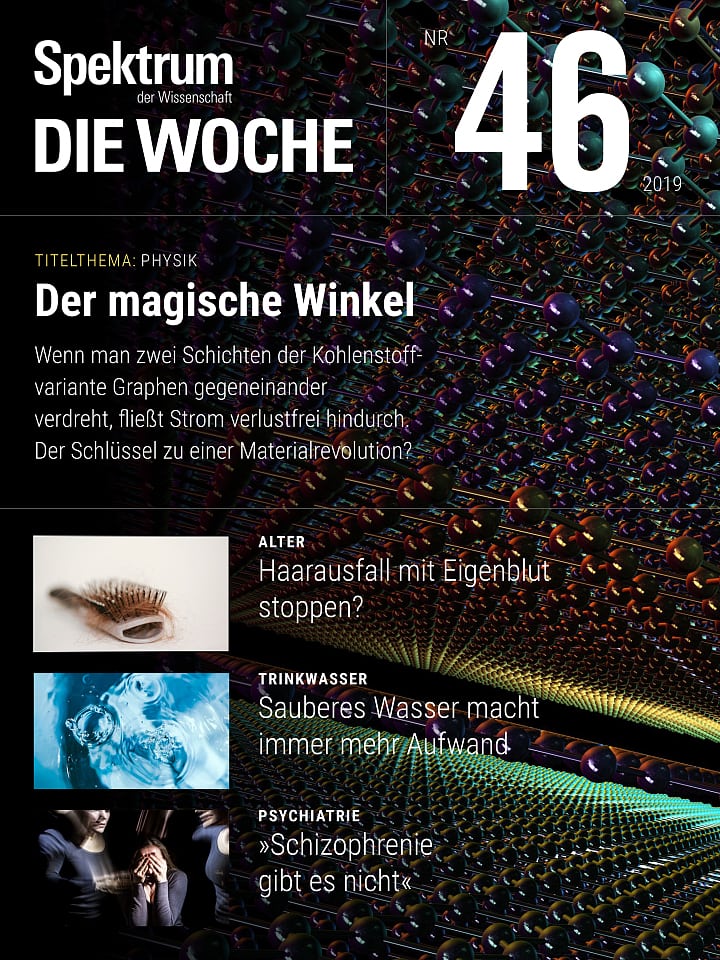 Spektrum - Die Woche – 46/2019 Cover
