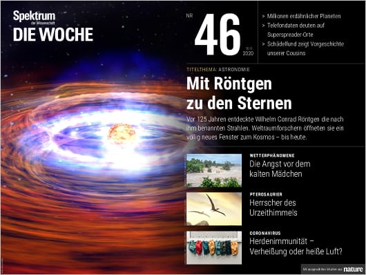 Spektrum Die Woche 46/2020 Cover