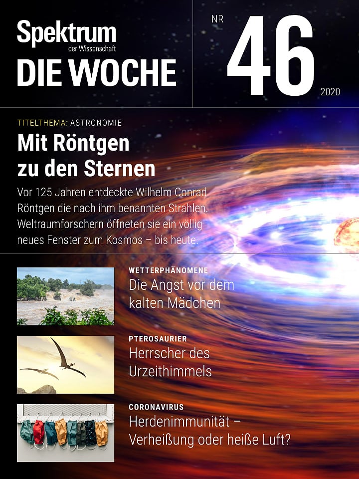 Spektrum - Die Woche – 46/2020 Cover