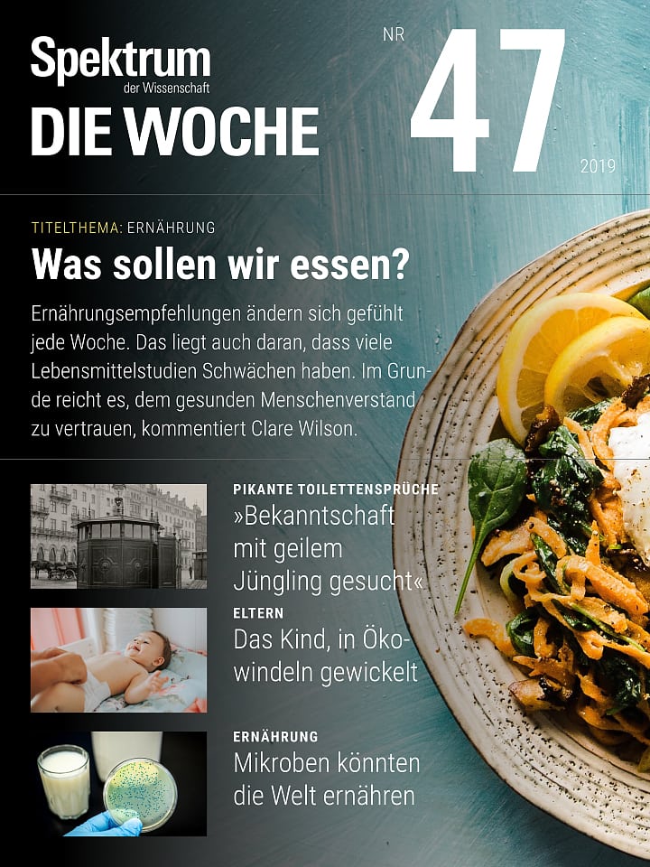 Spektrum - Die Woche – 47/2019 Cover