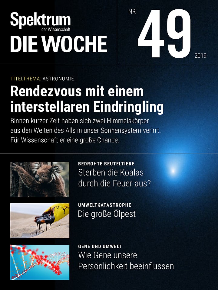 Spektrum - Die Woche – 49/2019 Cover