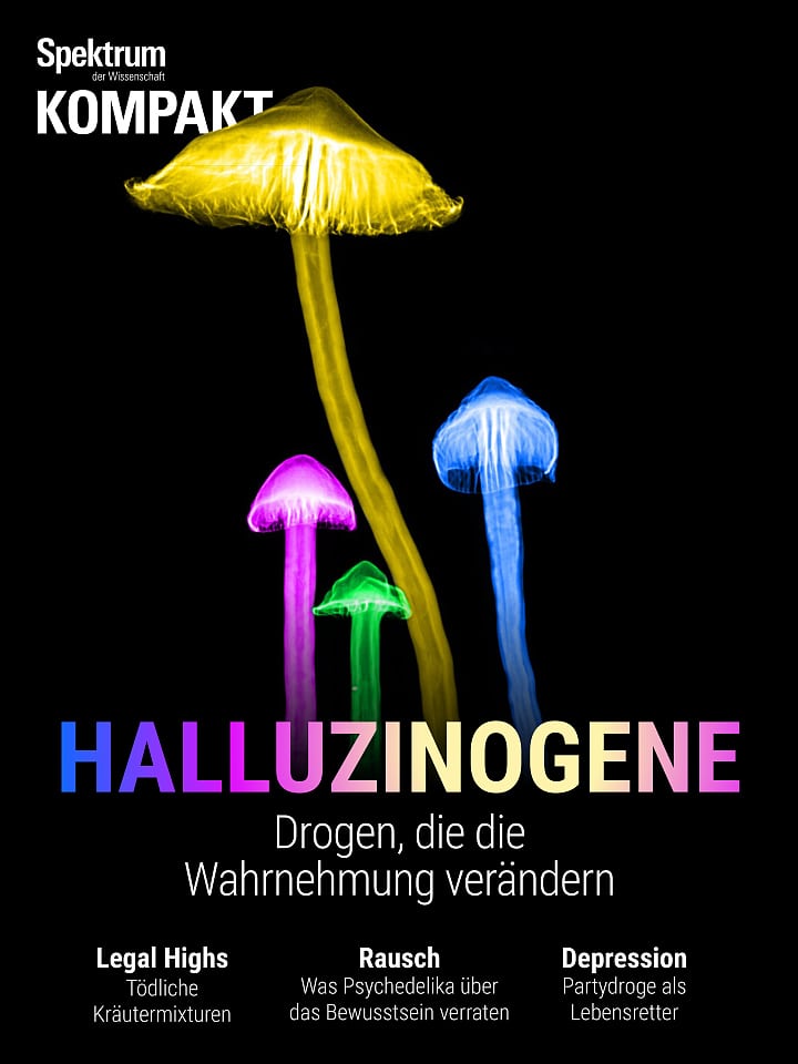 Spektrum Kompakt – Halluzinogene - Drogen, die die Wahrnehmung verändern Cover