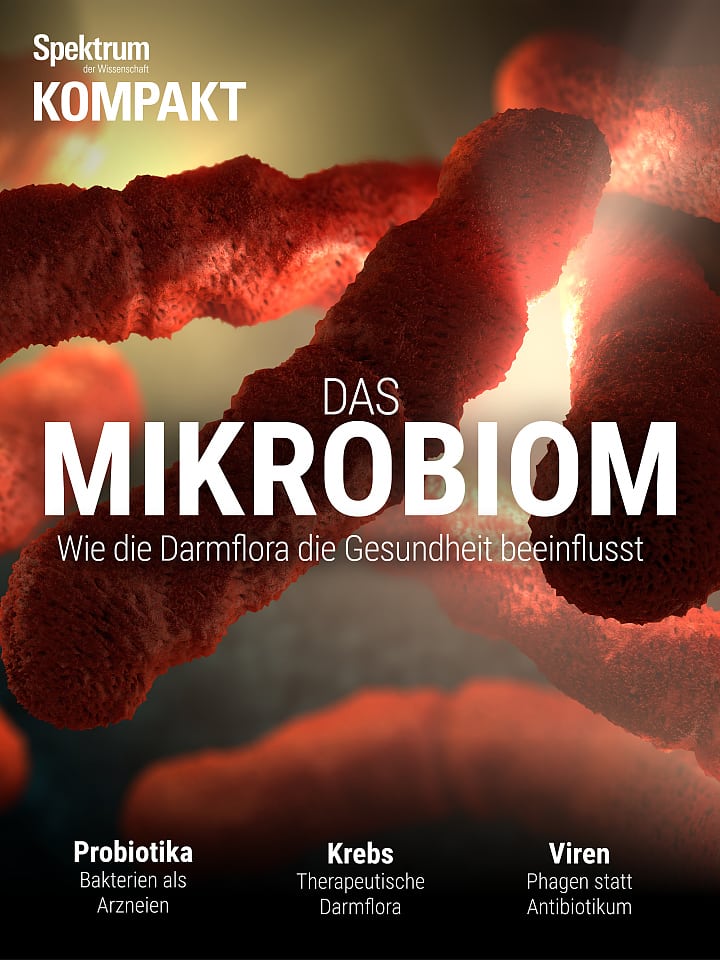 Resumen del espectro: el microbioma: cómo afecta la microbiota intestinal a la salud