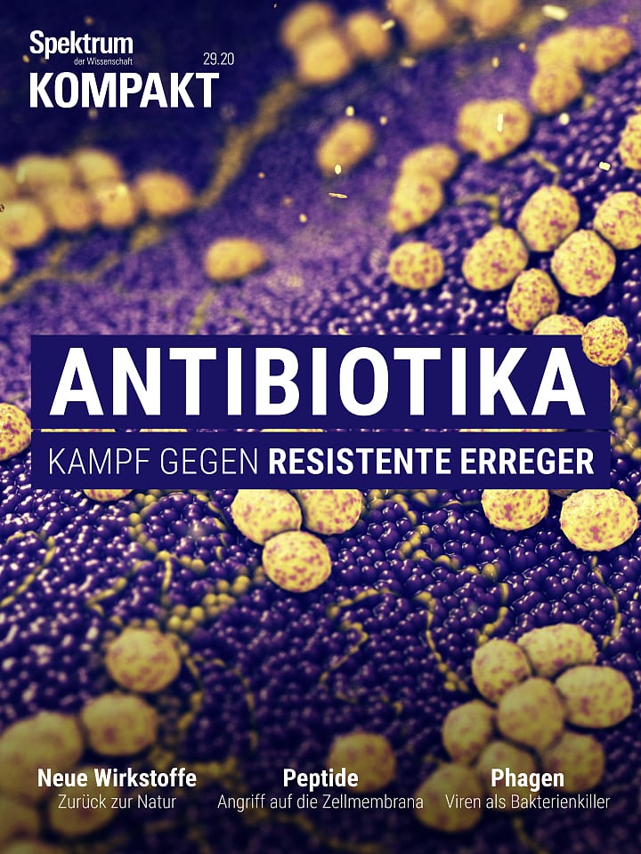 Spektrum Kompakt – Antibiotika - Kampf gegen resistente Erreger Cover