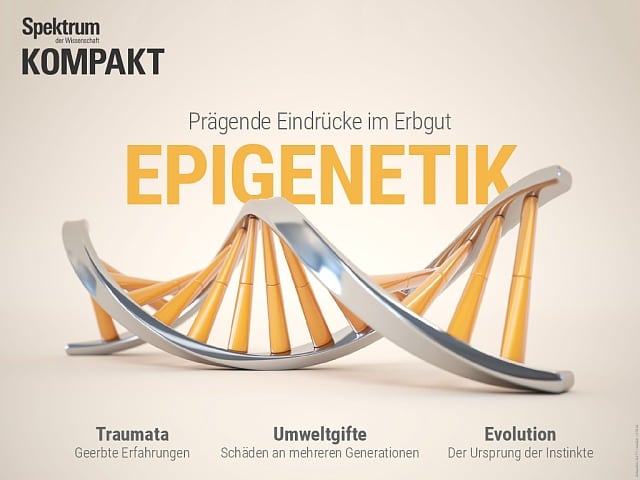 Digitalpaket Epigenetik