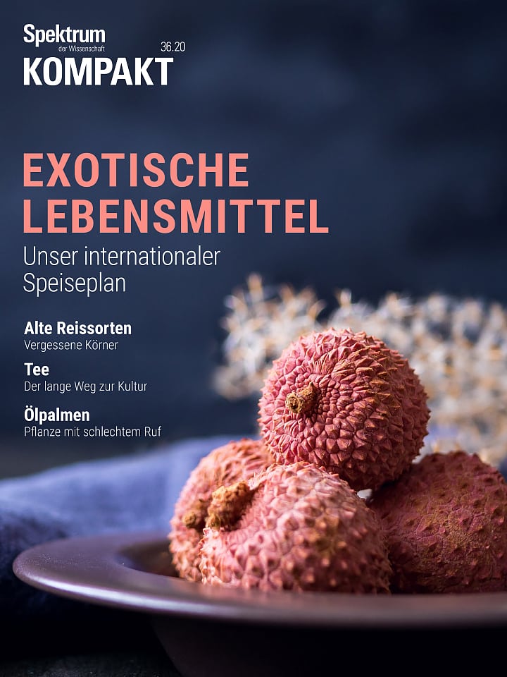 Spektrum Kompakt – Exotische Lebensmittel - Unser internationaler Speiseplan Cover