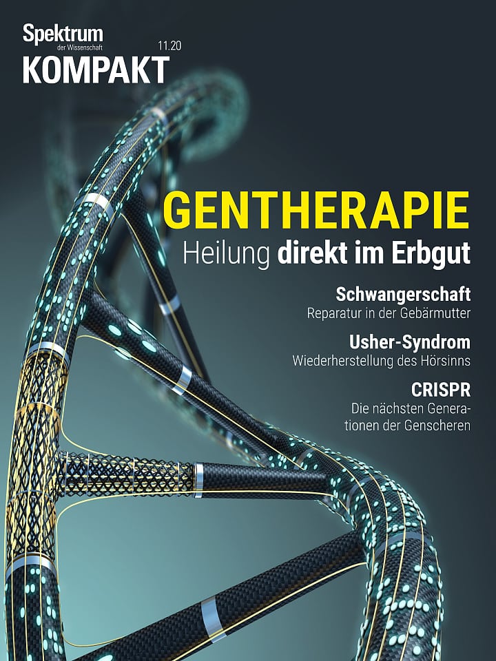 Spektrum Kompakt – Gentherapie - Heilung direkt im Erbgut Cover