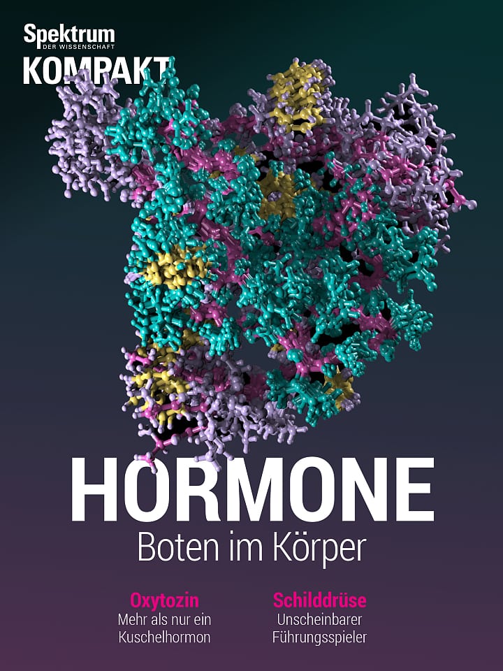 Für kaufen mann hormone den weibliche Weibliche Hormone