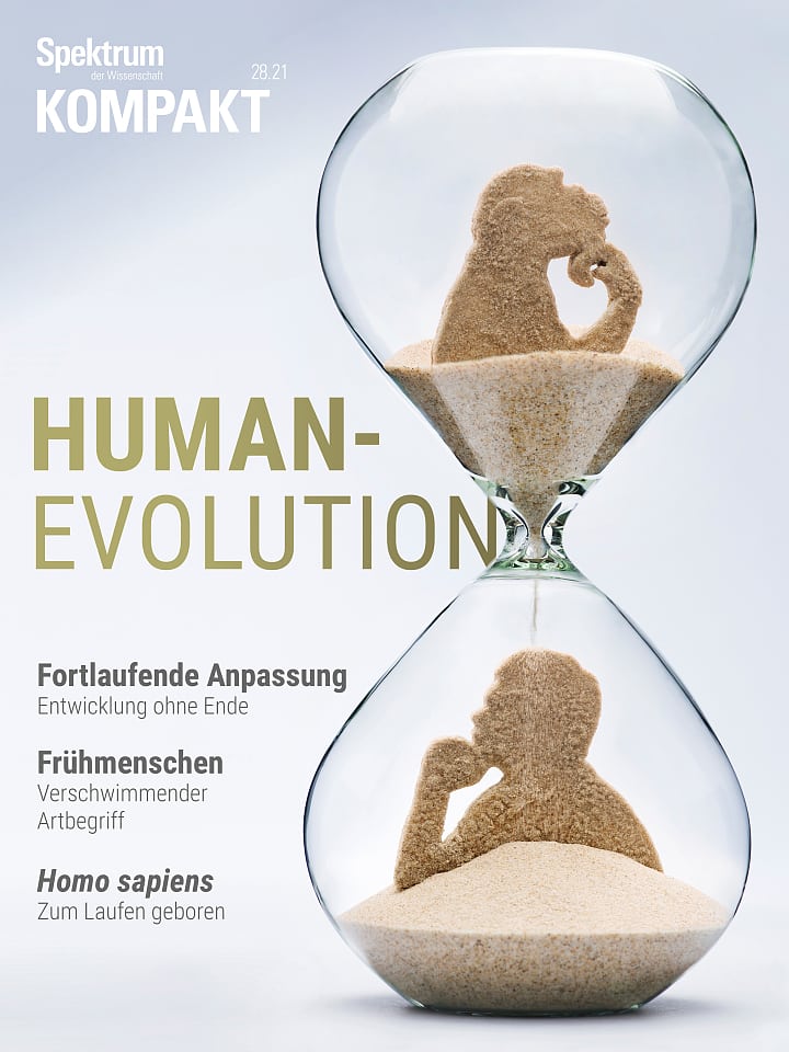 Presión del espectro: evolución humana - el origen de los humanos modernos