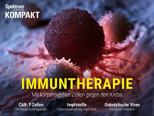 Estrés del espectro: inmunoterapia: uso de las células del cuerpo para combatir el cáncer