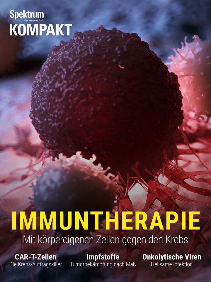 Estrés del espectro: inmunoterapia: uso de las células del cuerpo para combatir el cáncer