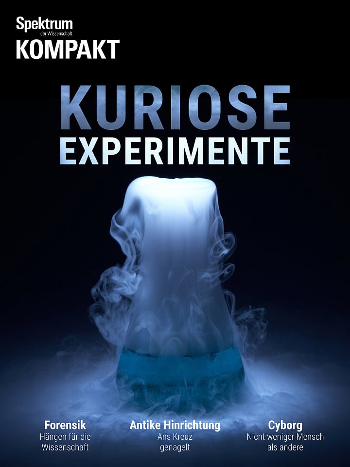 Spektrum Kompakt – Kuriose Experimente Cover