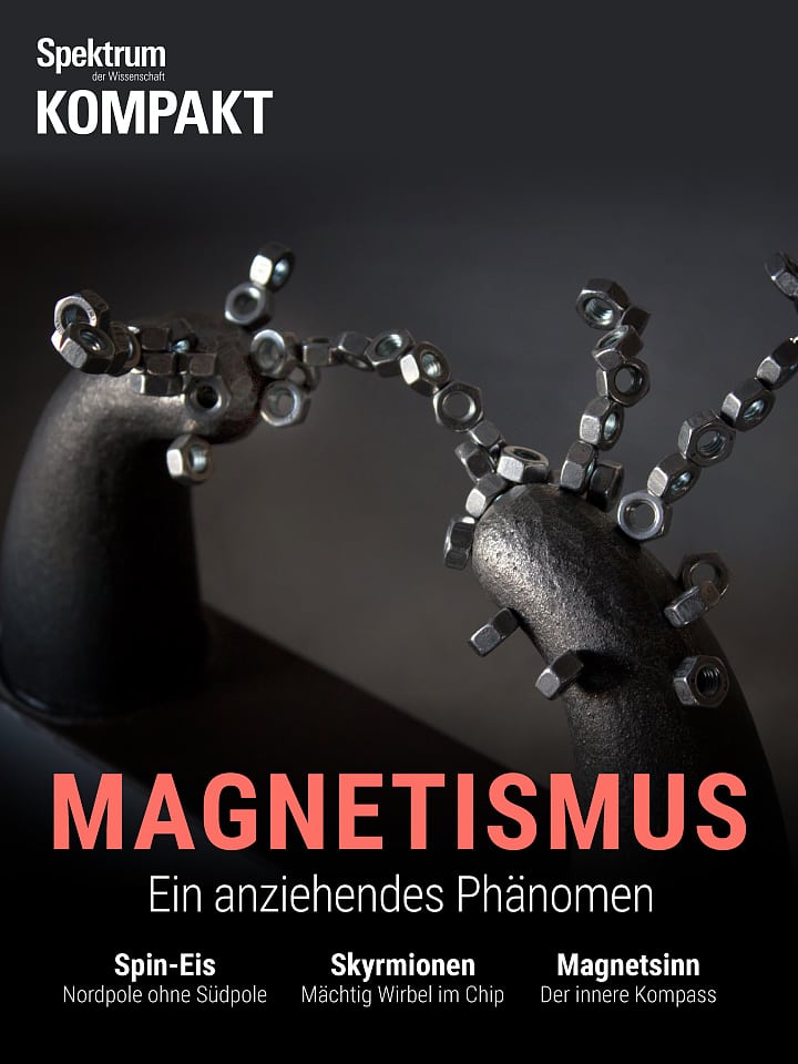 Spektrum Kompakt – Magnetismus - Ein anziehendes Phänomen Cover