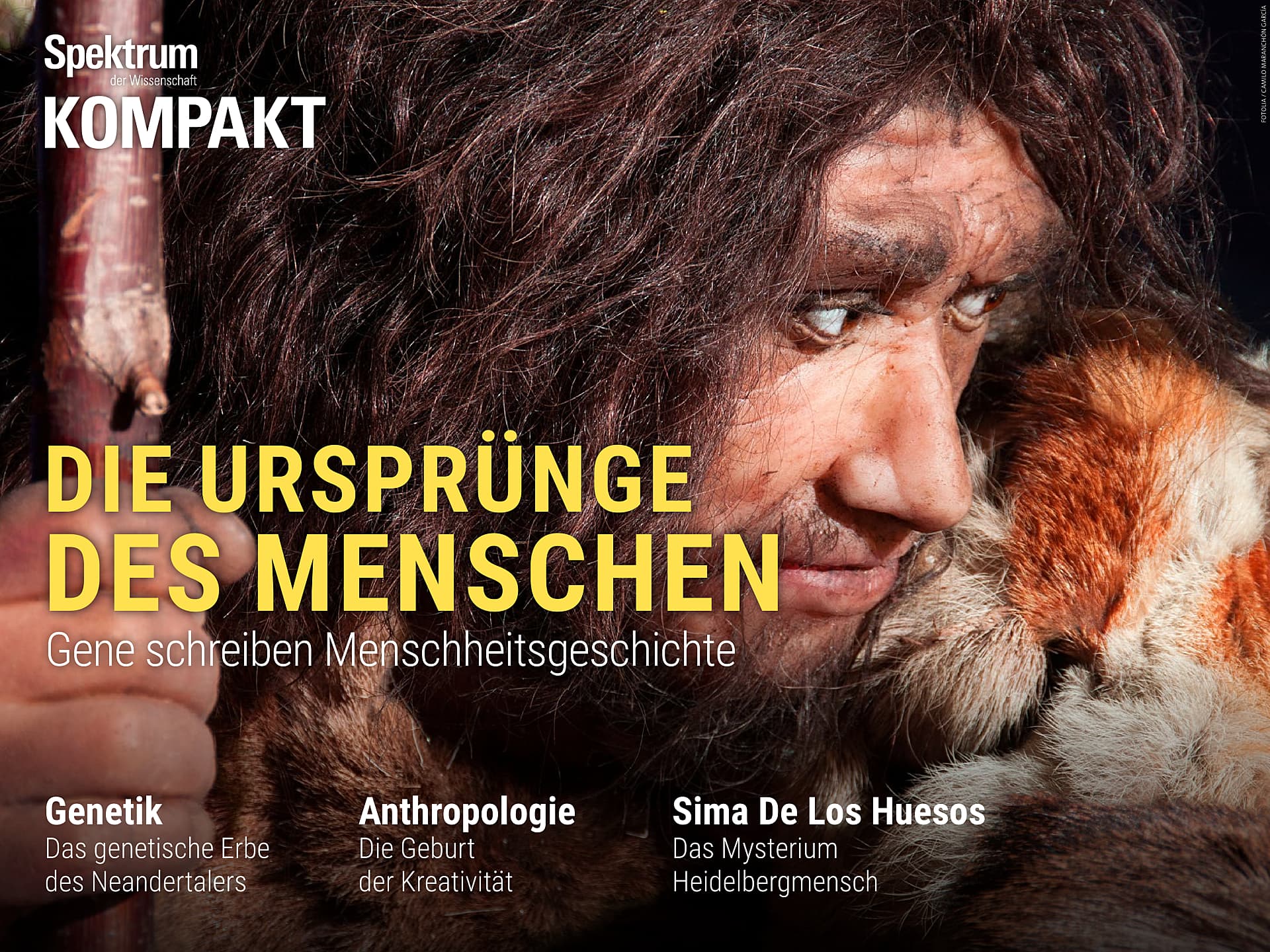 Spektrum Kompakt: Ursprünge des Menschen - Gene schreiben ...