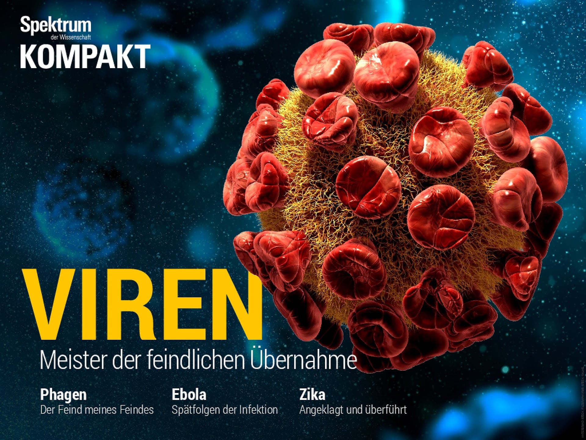 Spektrum Kompakt Viren Spektrum der Wissenschaft