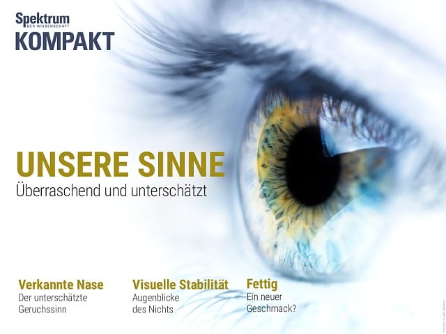 Spektrum Kompakt:  Unsere Sinne – überraschend und unterschätzt