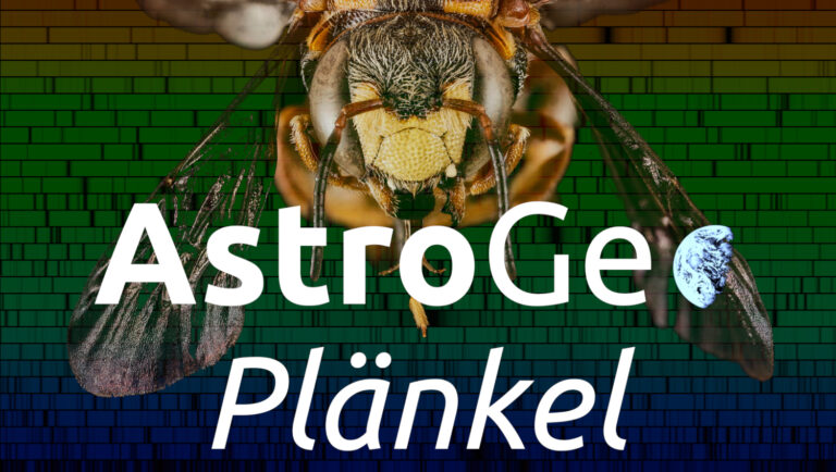 AstroGeoPlänkel: Radioaktive Steine, Aasbienen und Ballon-Abenteuer