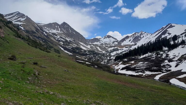 Bats, brains and memory palaces: shared computations behind navigation and memory?