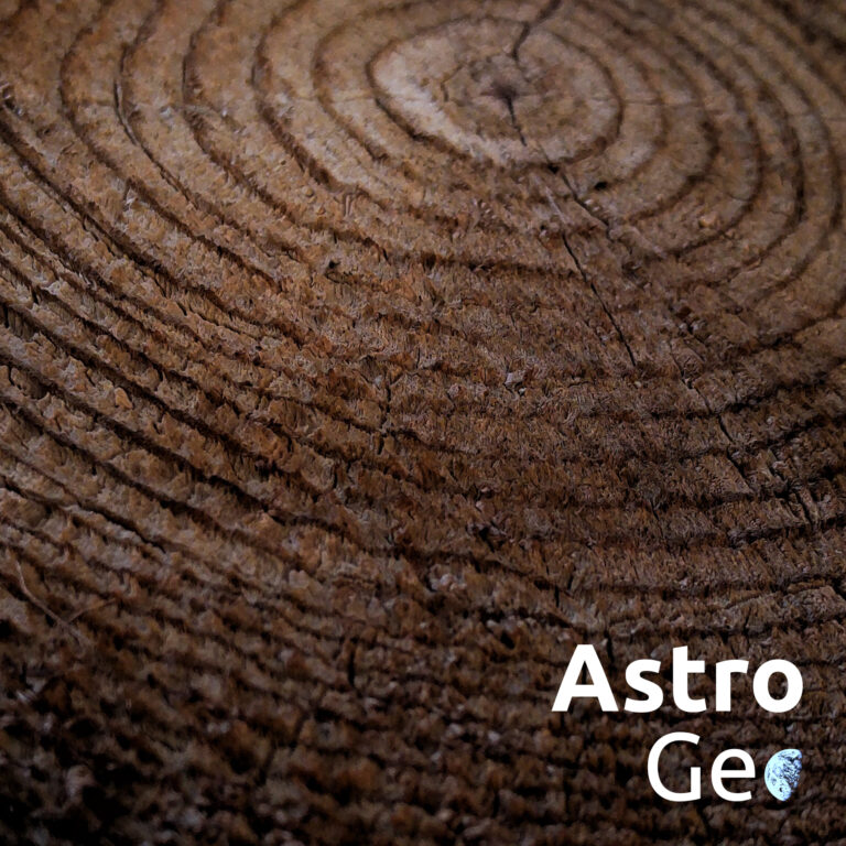 AstroGeo Podcast: Kosmische Spuren in uralten Bäumen – was sind Miyake-Ereignisse?