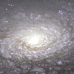 Spiralgalaxie NGC 5055