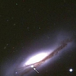 Typ Ia Supernova SN 2002bo