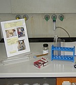 Luft und Verbrennung