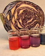 Naturwissenschaften mit Kindern